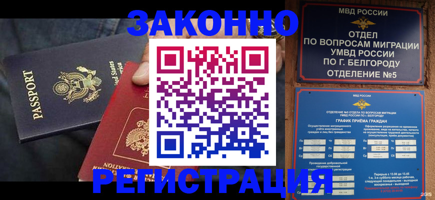 прописка законно в Апатитах